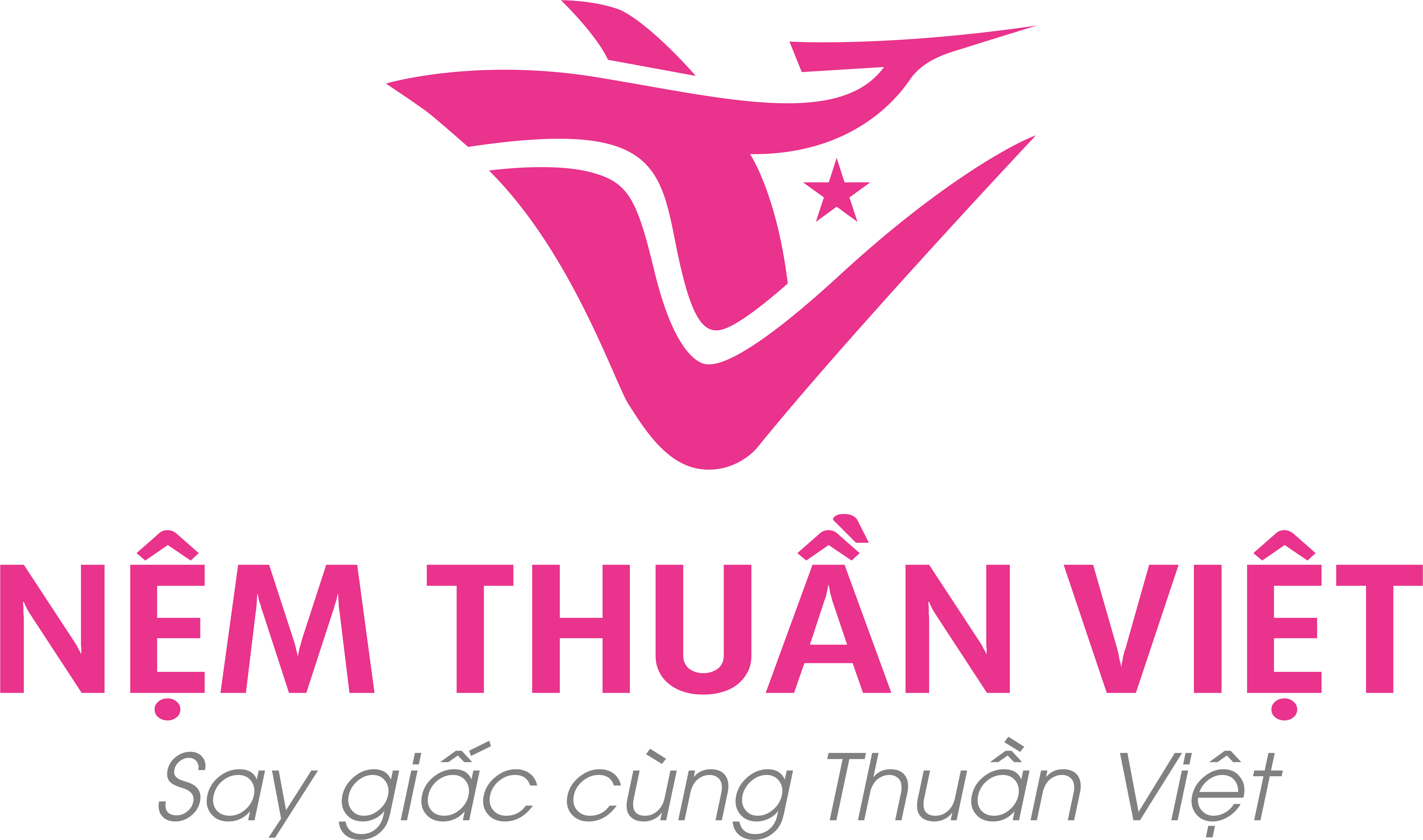 Công ty TNHH Nệm Thuần Việt